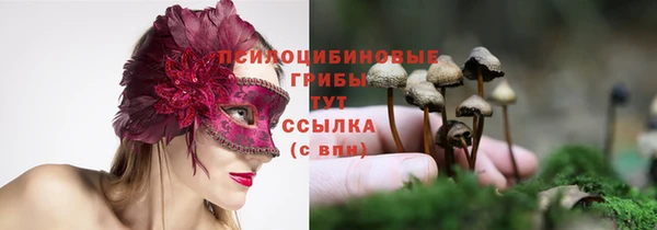 каннабис Алексин