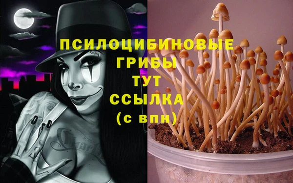 бутират Алзамай