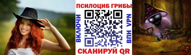 Галлюциногенные грибы Psilocybe Петрозаводск